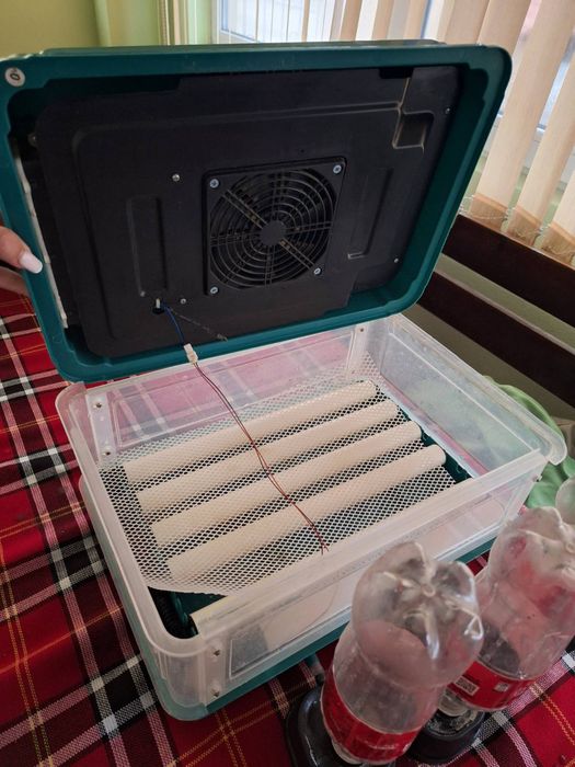 Автоматичен инкубатор