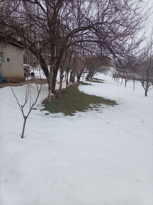 За городом в селле