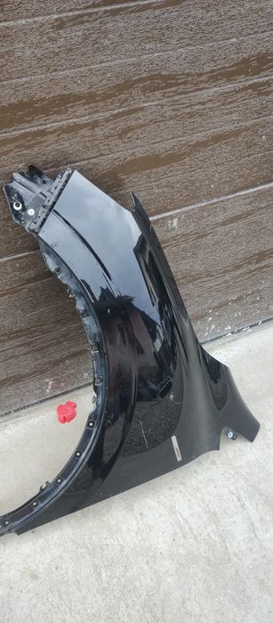 Aripa stângă fata kadjar