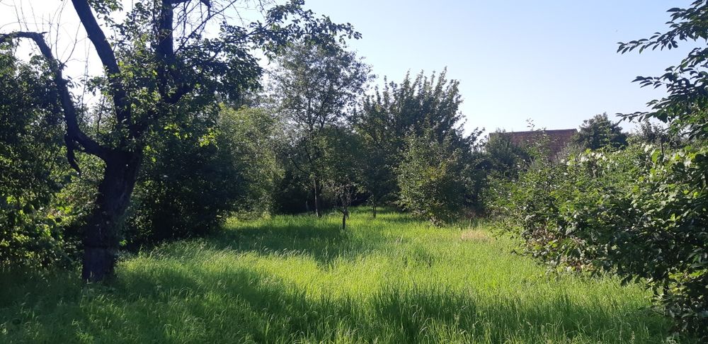 Teren intravilan 988mp de vânzare, Târlungeni între case