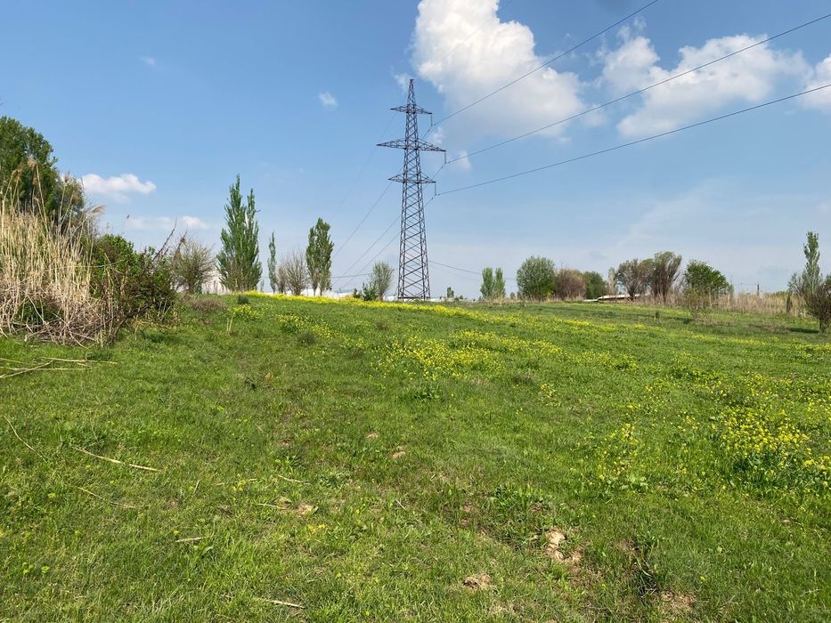 Недвижимость земли