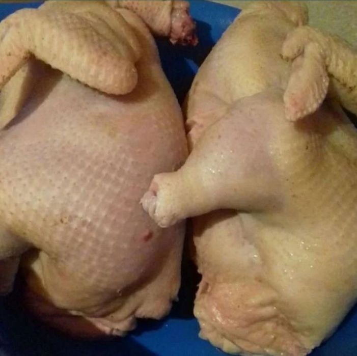 Продам тушки домашних кур бройлеров, несушек, уток