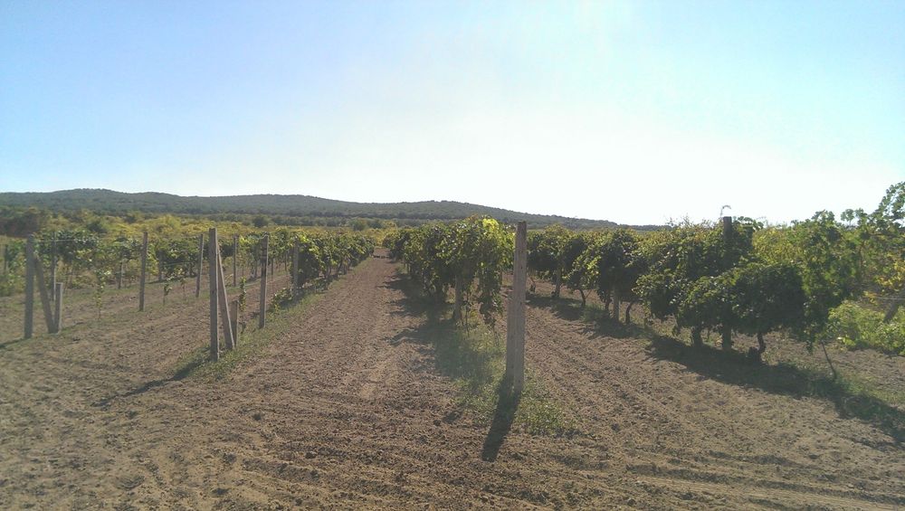 Продава се Земеделски имот в с. Панаретовци, Област Сливен -  кв.м за 1658 €/дка - Снимка #1