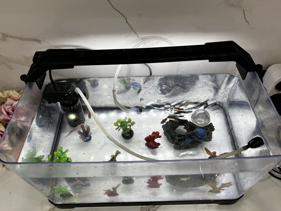 Аквариум сатамын балығымен