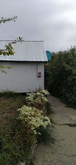 Продам дом в селе Самарское