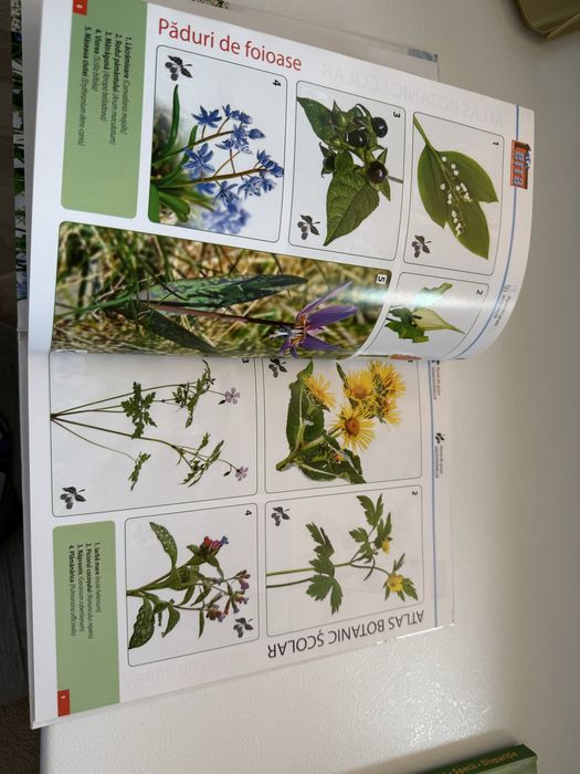 Carte cu dinozauri si atlas botanic scolar