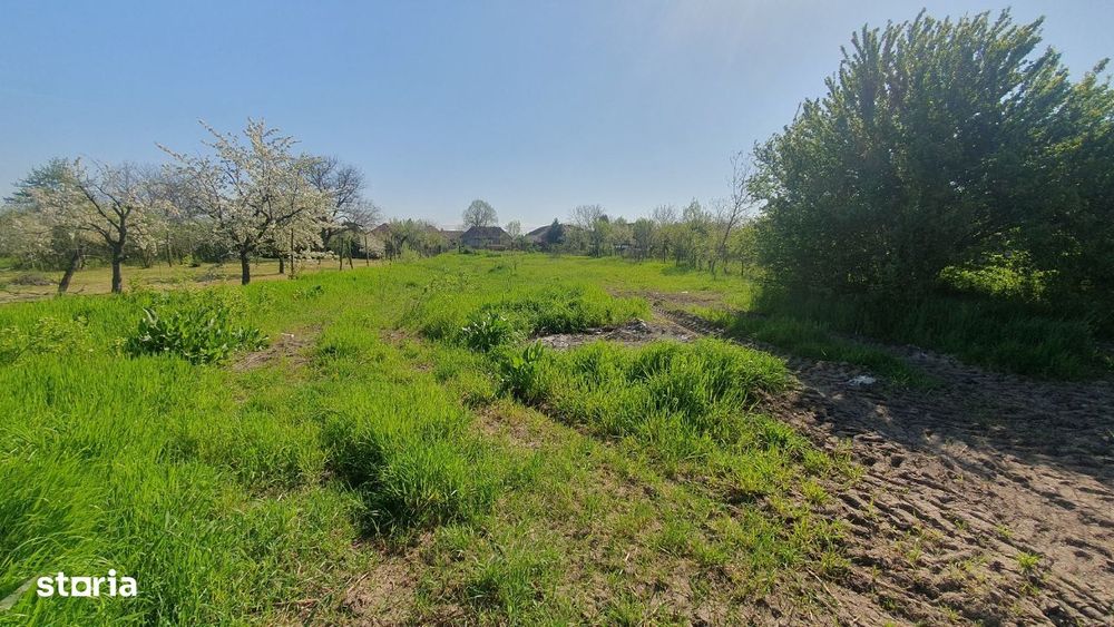 Vand teren cu casa veche in Zadareni - ID : RH-37250-property