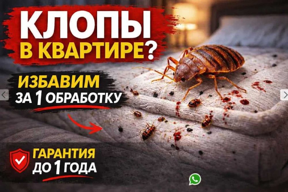 Экспертная дезинфекция тараканов Выезд 30 мин. Дизенсекция Дизенфекция