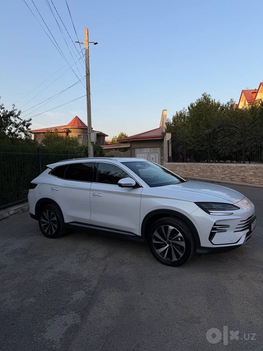 BYD 2025 yil eng fulli