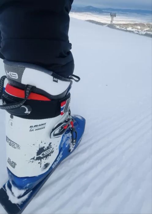 Vand snowskates SLED DOGS K9.02 (patine de zapada / mini schiuri)