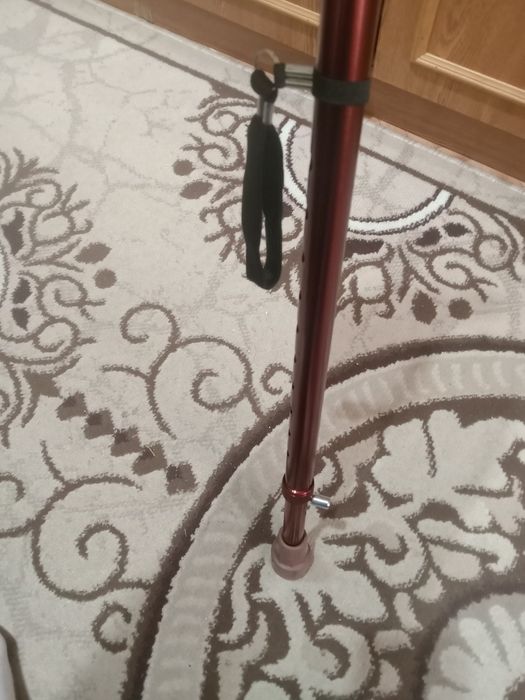 Трость все новое