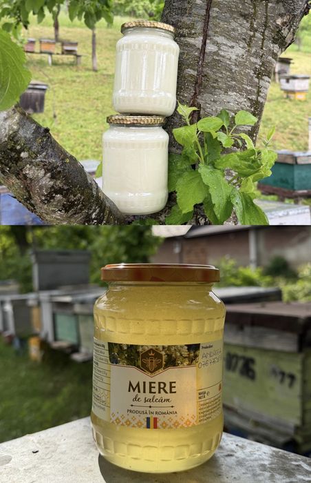 Vând miere de albine 100 bio