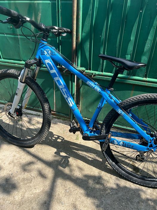 Kolelo Cross Dexter