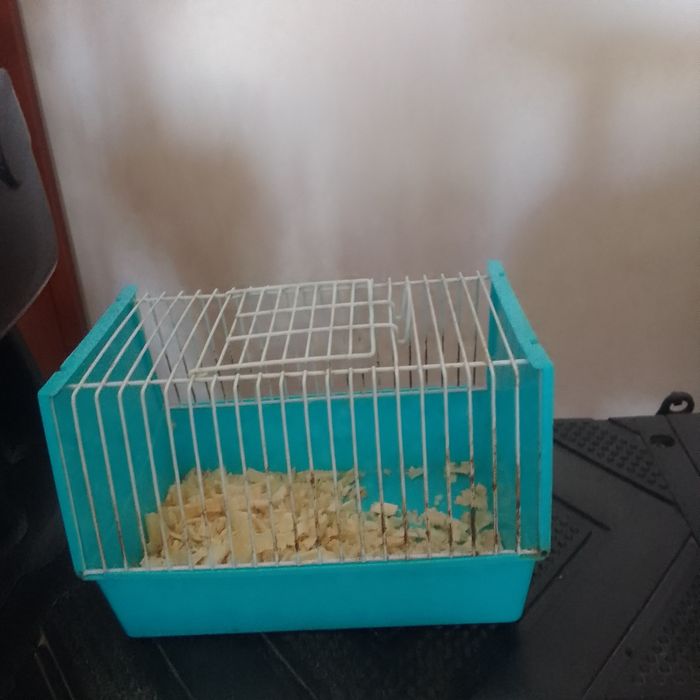 продам переноску для хомяков