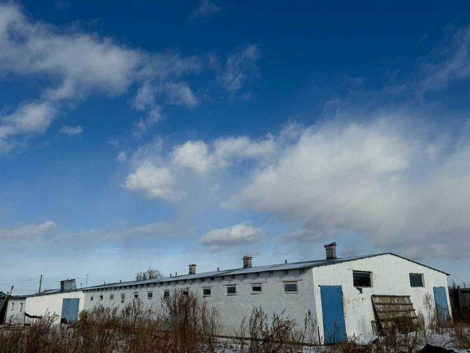 Сельское хозяйство