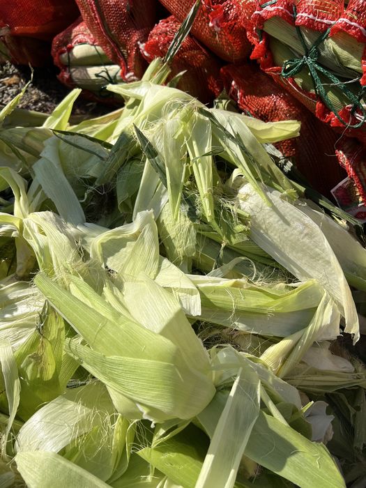 Кукуруздын шөбі малга