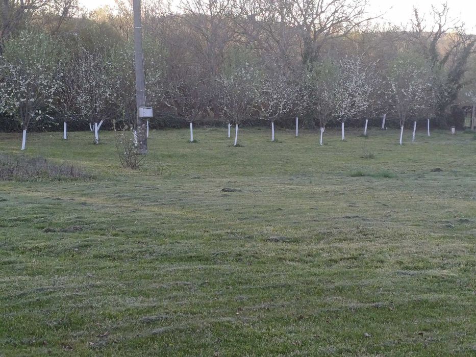 Продава се Къща в София, 7-ми 11-ти километър - 360 кв.м за 348 €/кв.м - Снимка #1