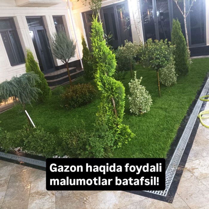 Газон +ланшафт дизайн +паливной система + микроклимат хизмати мавжуд