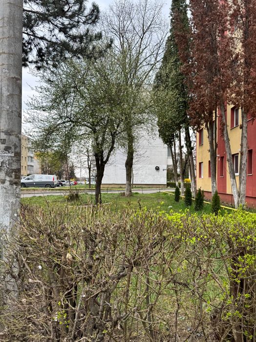 Apartament 3 camere – Etaj 1 – Zona Micro 3, str. Narciselor