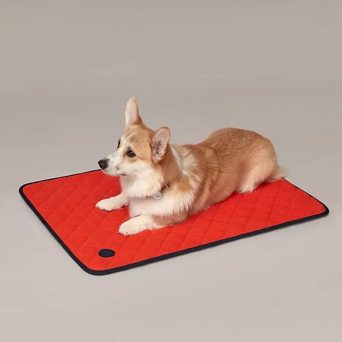 Кучешка подложка ‘Hermès’