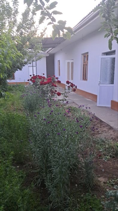 4 ком 4 сотих Зангата туман