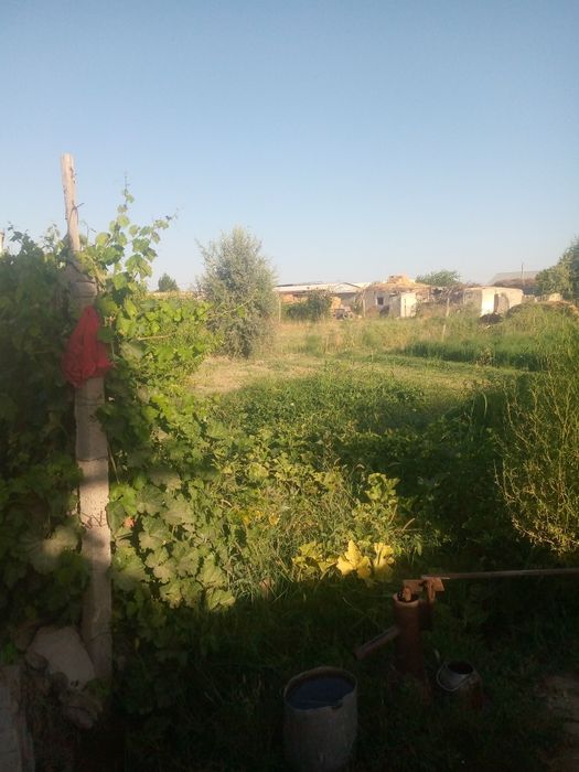 Ховли сотилади 15 соток