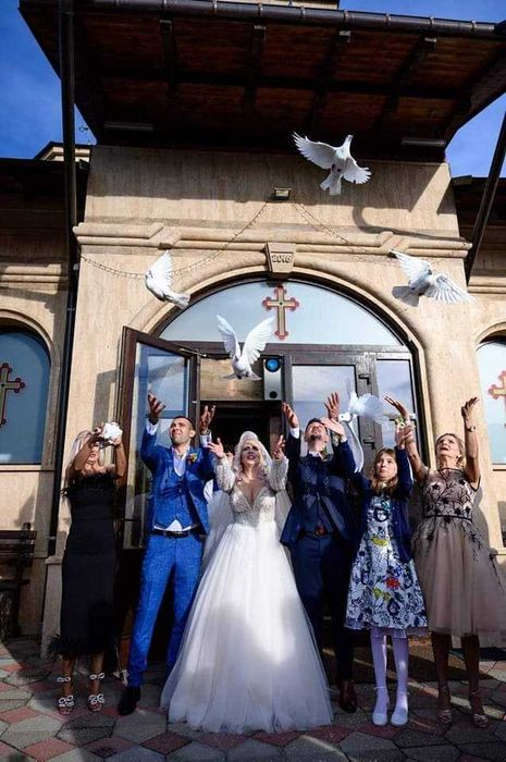 DacEvents,Porumbei Albi Nunta și Tort shoturi