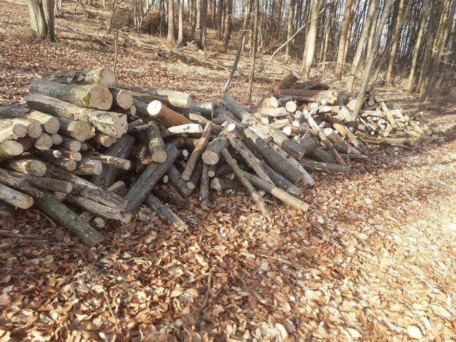Lemne de foc la 350 lei metru eseță tare cu transport gratuit
