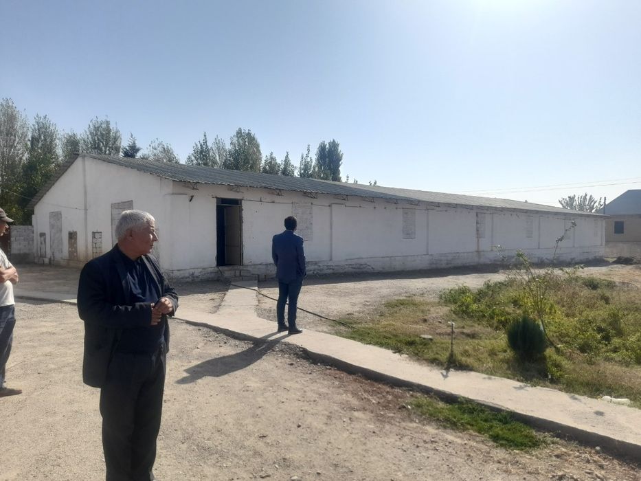 Тадбиркорлик еки ферма мол куй бокиш учун муржаланган