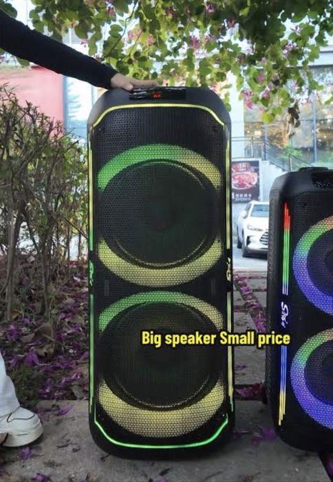(250W) Sing-e ZQS-S6616  Gigant Party Speaker - есть доставка