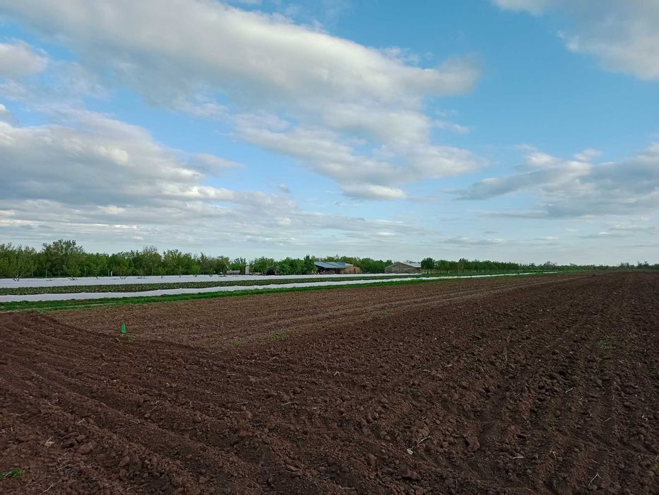 Участок 14 га, Трасса Уральск - Атырау!!!