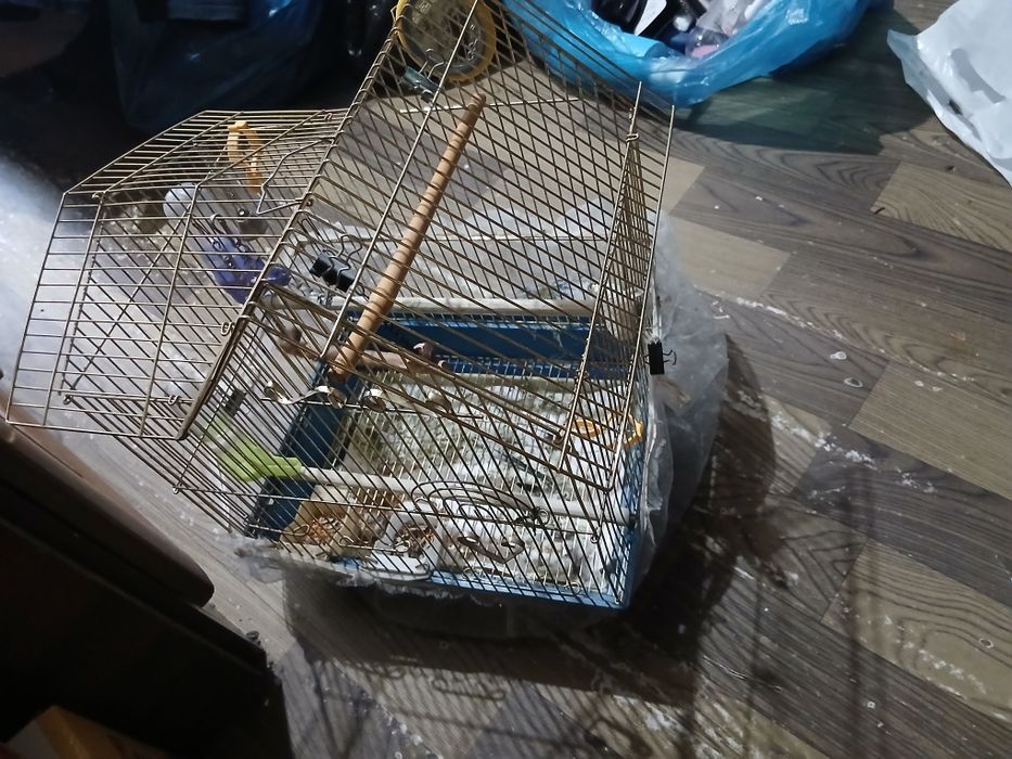 Продаю клетку для птиц