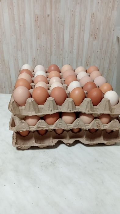 Свежие домашние яйца , Доставка до дома