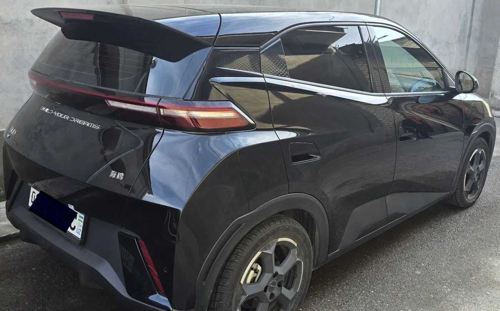 byd seagull pad zakaz