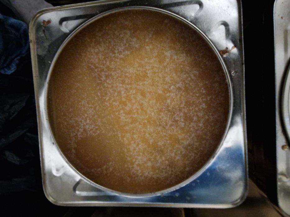 Билков мед 2025г за Горна Оряховица