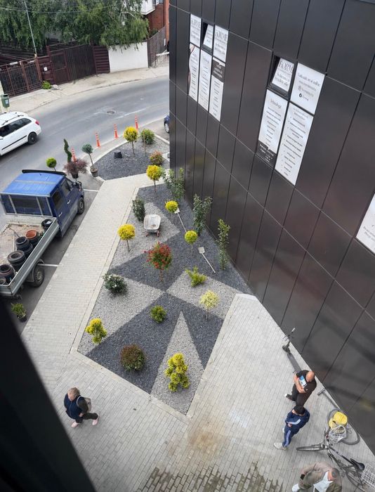 Amenajări grădini plante gazon alei japoneze
