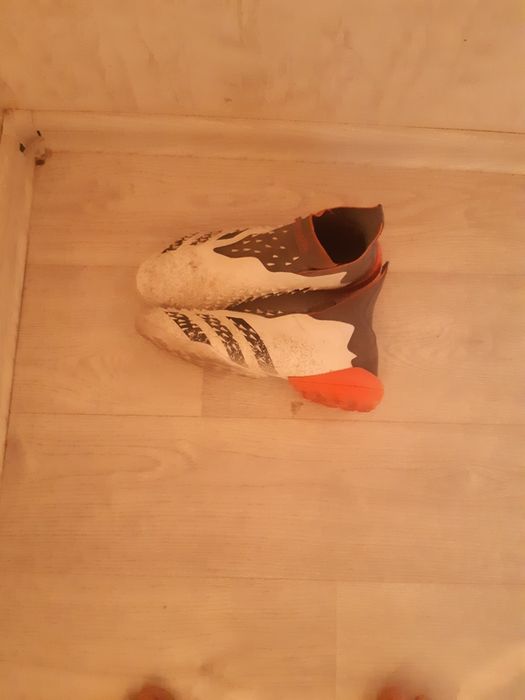 Сороконожки футбольные