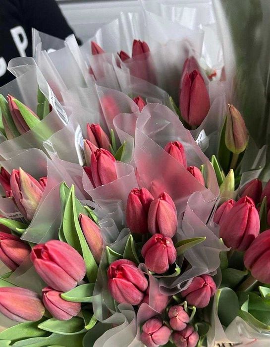 ТЮЛЬПАНЫ ОПТОМ | 10+ лет опыта | Более 30 расцветок