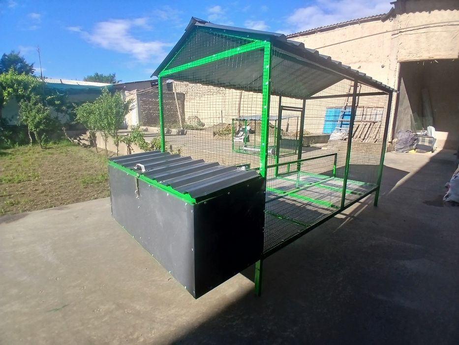 Tovuq katak zakazga