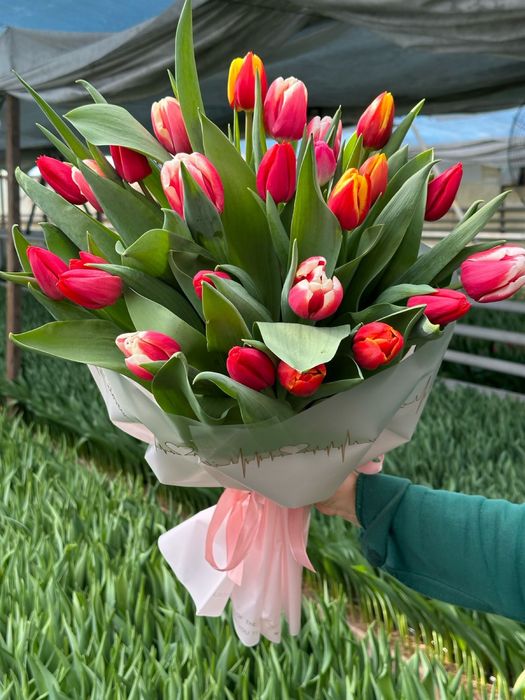 Тюльпаны предзаказ к 8 марта