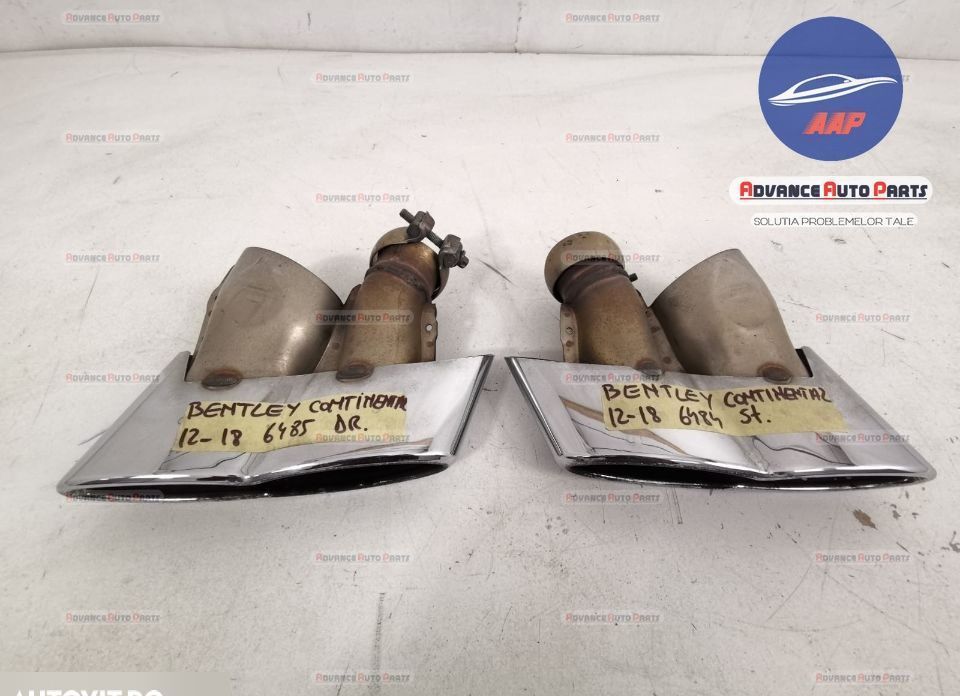Ornament toba tips stanga originale in stare buna Bentley Continental