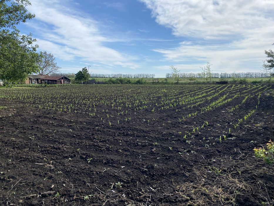 Продава се Парцел в с. Дъбовик, Област Добрич - 1 кв.м за 2091 €/кв.м - Снимка #5