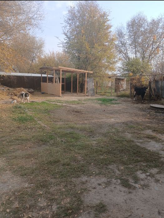Срочно продам дом