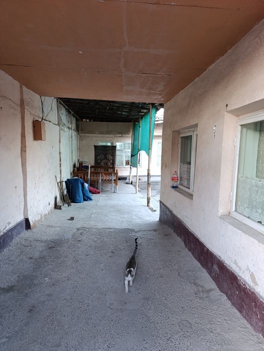 Uy sotiladi Olmozor Tumanida 3 sotix