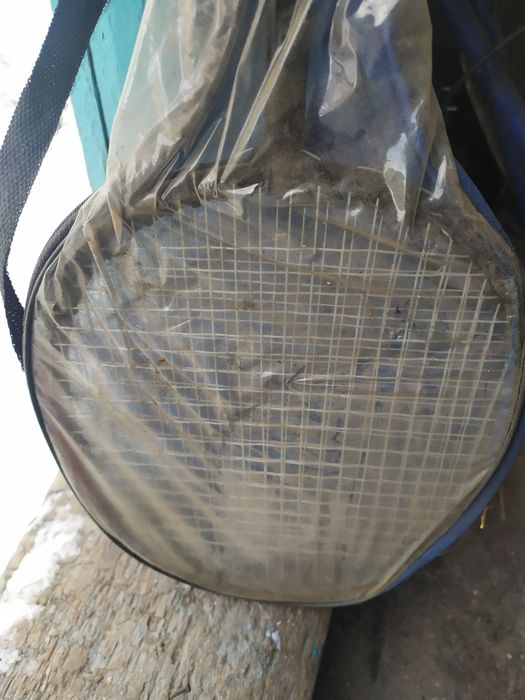 Продам бамбентон.