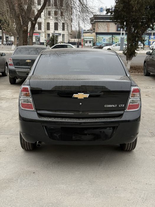 Cobalt Midnight MSM 2026