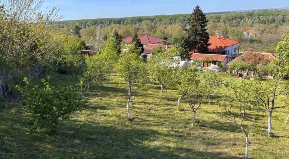Продавам двор в Козлодуй