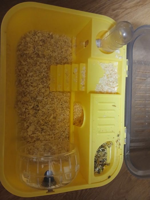 Cușcă de hamsteri