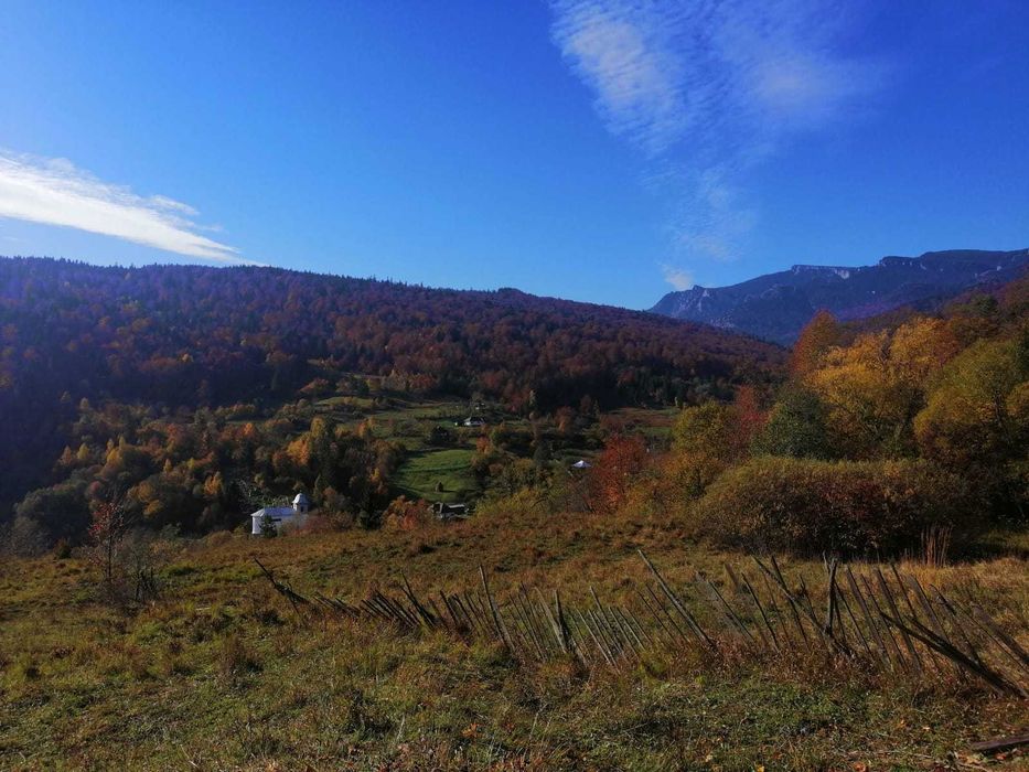 Teren Izvorul Alb Bicaz