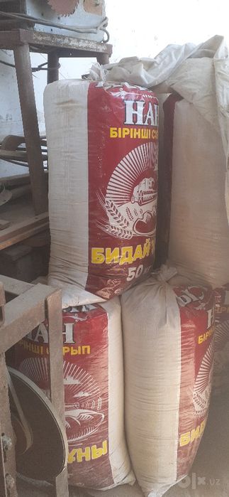 Dsp apilka 50kg qopta